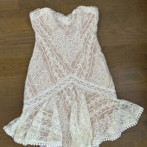 Angel Biba Lace Satin Lined Dress